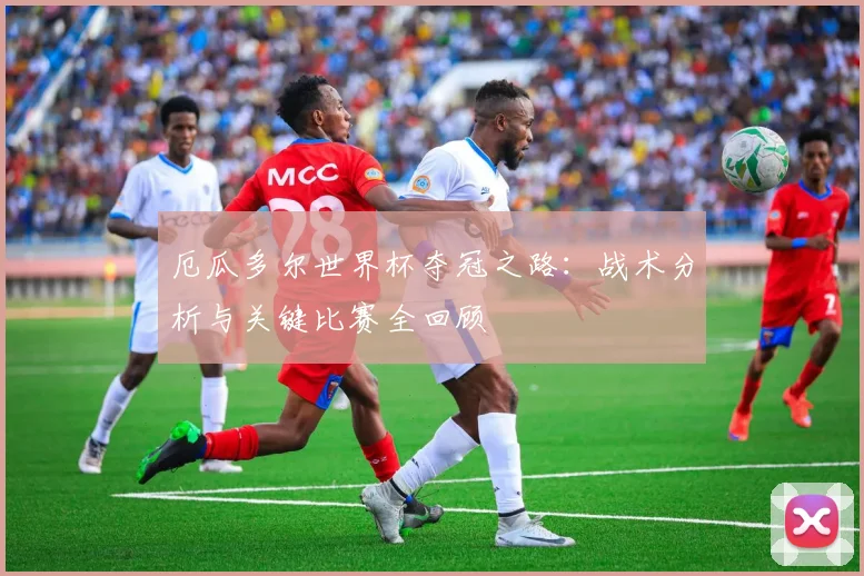 厄瓜多尔世界杯夺冠之路:战术分析与关键比赛全回顾